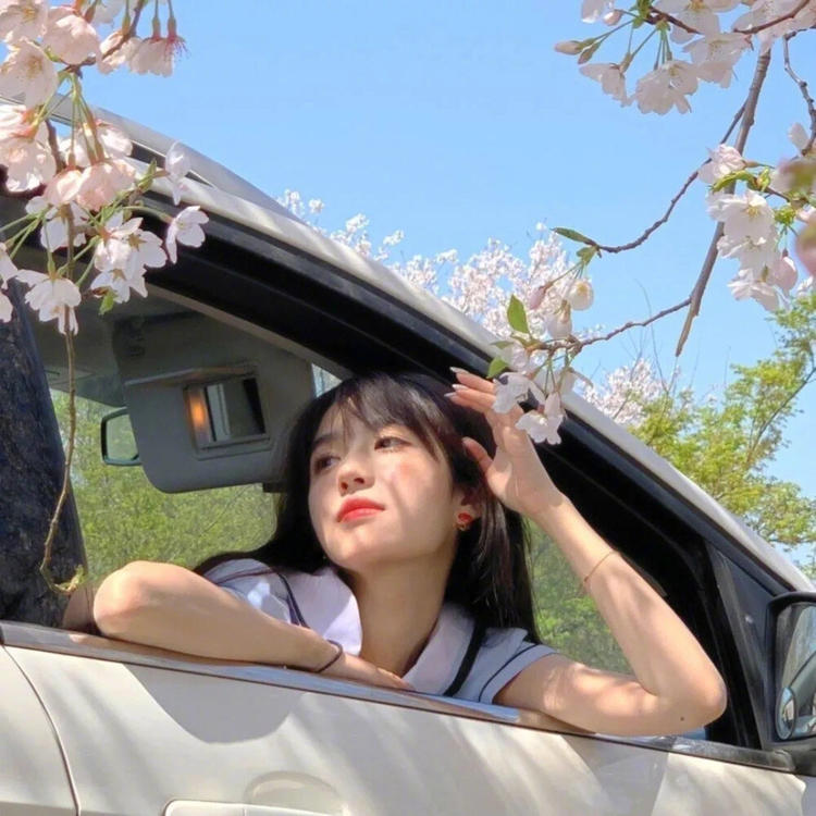 东京（明治维新后故事主要发生地） - 少儿动画片免费在线观看 - 小程序直播